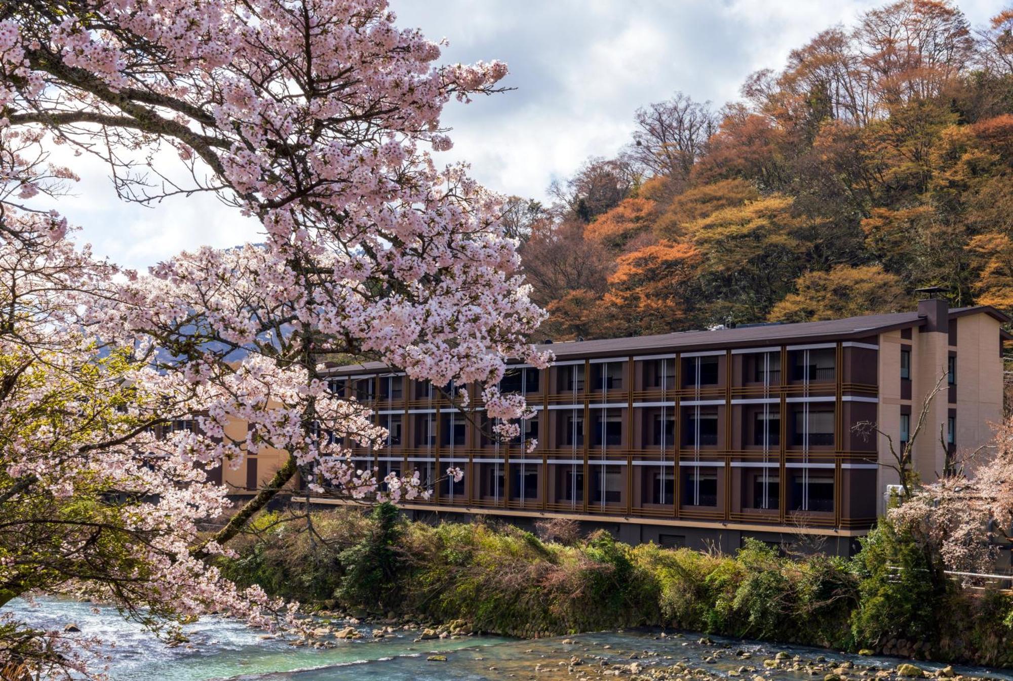 Hotel Indigo Hakone Gora By Ihg Exterior photo